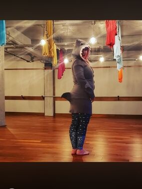 Gray Shark Hoodie Zipup with Tail And Fin Sleeves